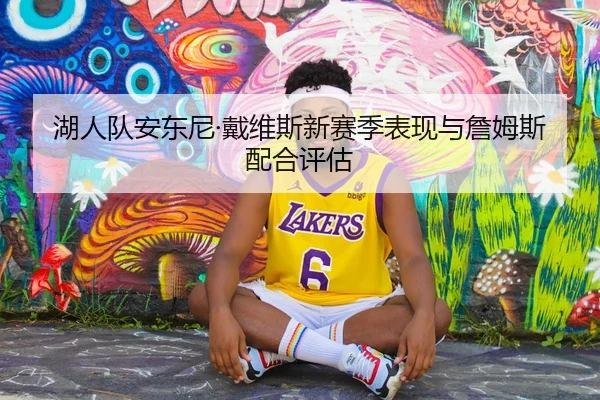湖人队安东尼·戴维斯新赛季表现与詹姆斯配合评估 - lesisports